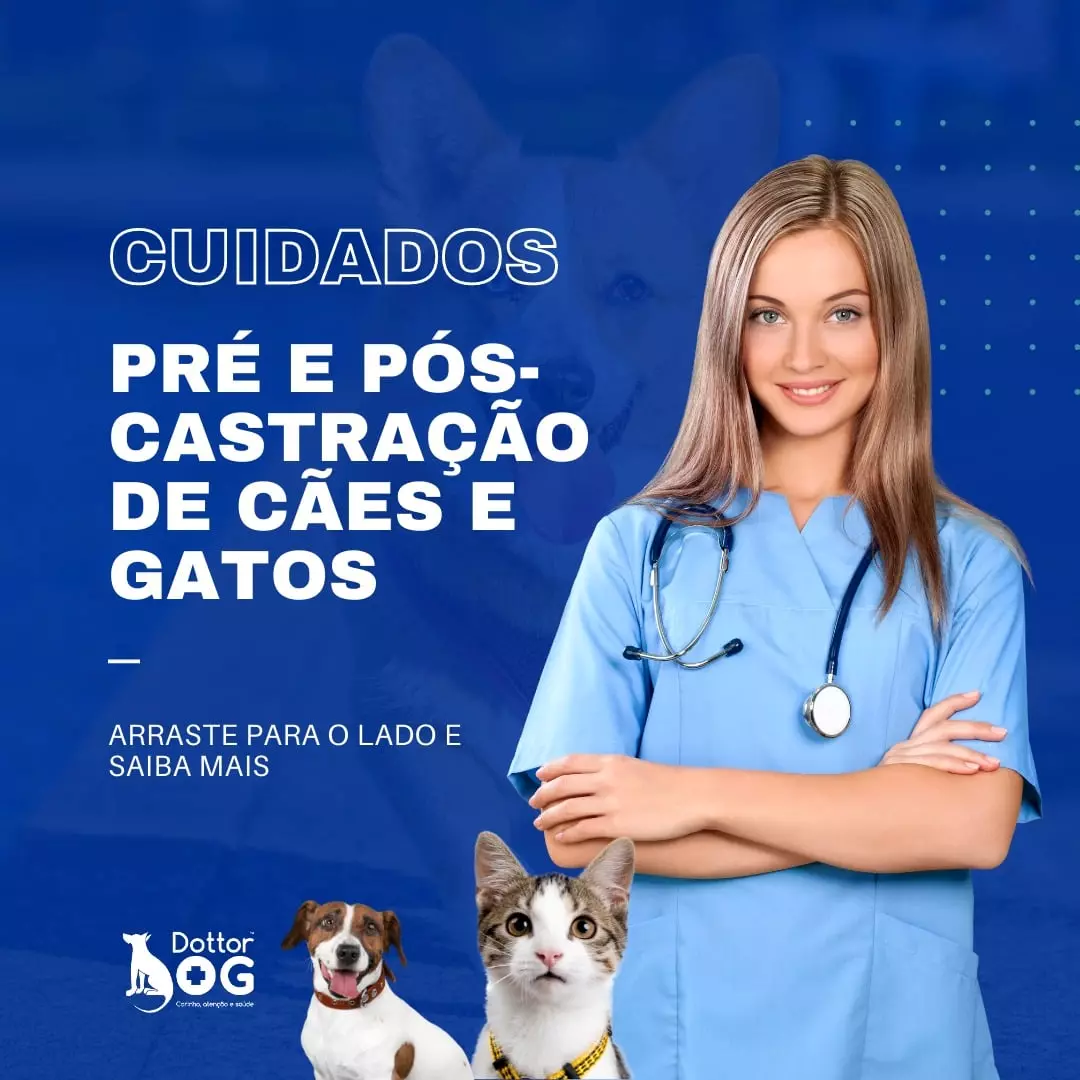 CUIDADOS PRÉ E PÓS CASTRAÇÃO DE SEU PET